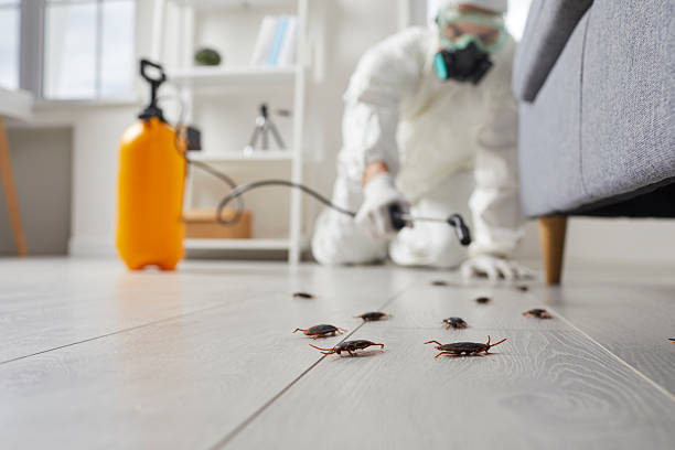 Commercial Kitchen Cockroach Control in New Hackensack
